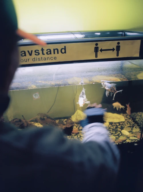 Thumbnail preview for Fly Away Closer - item 31